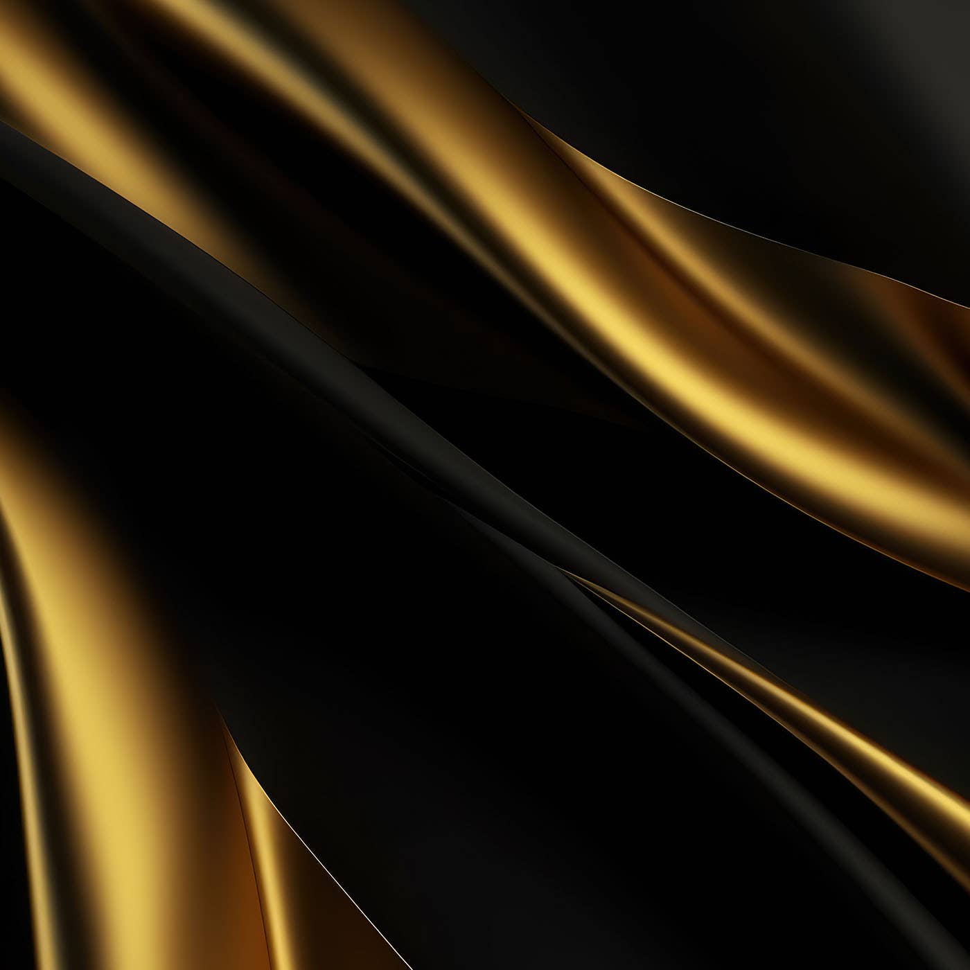 BF Banner 1