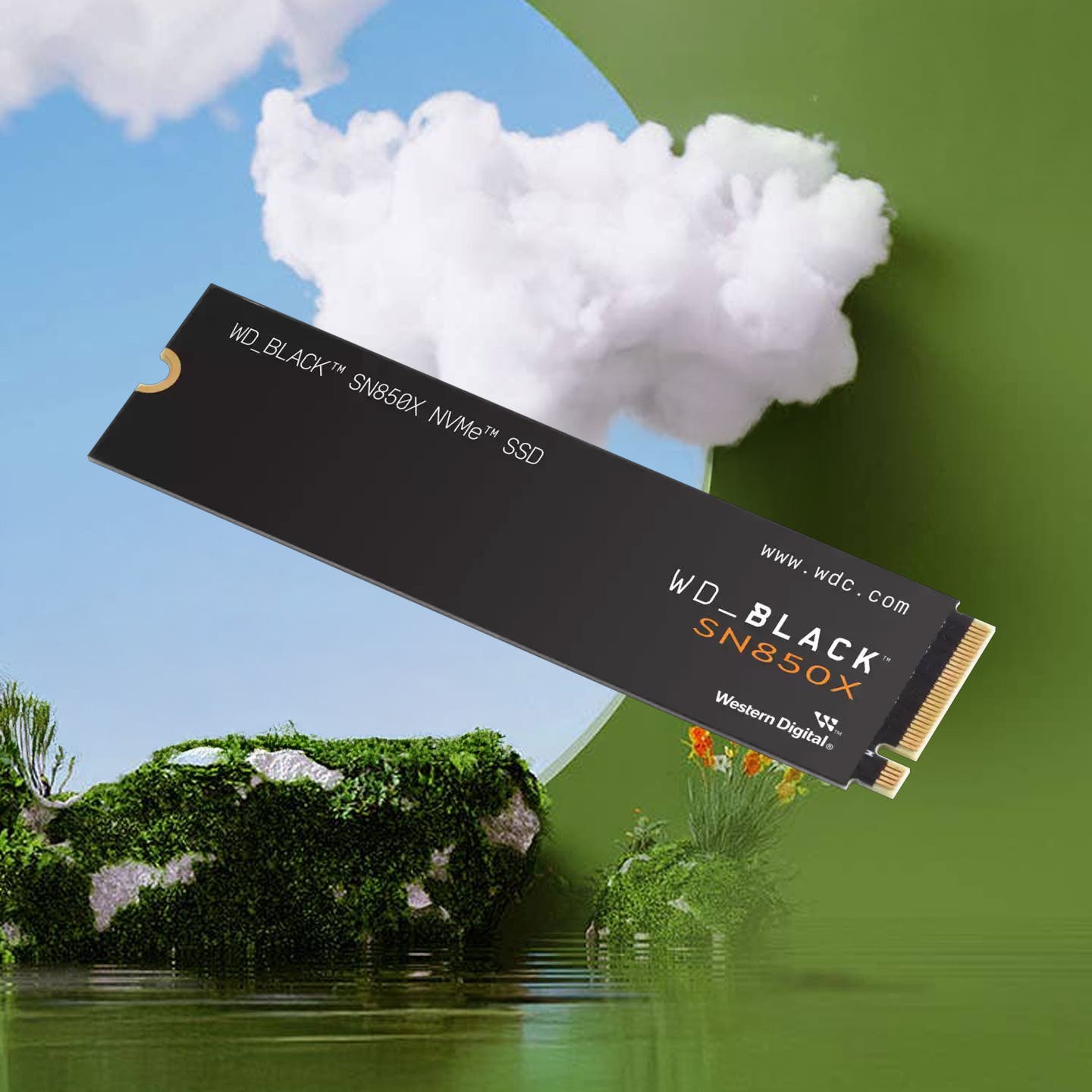 SSDs