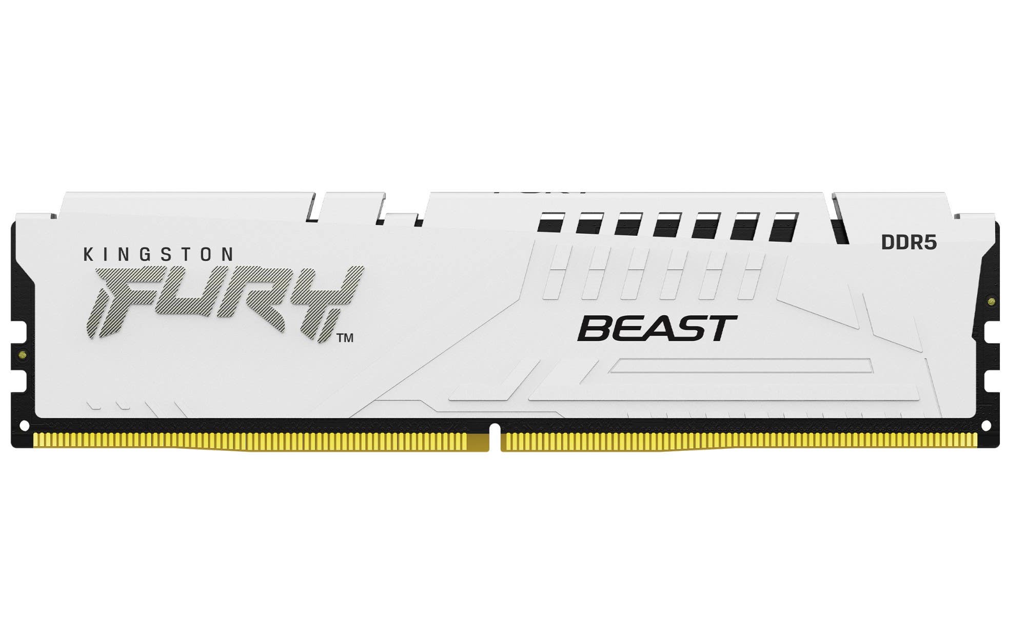 Kingston Fury Beast DDR5- front profile showing the Kingston fury logo, heat sink and connector