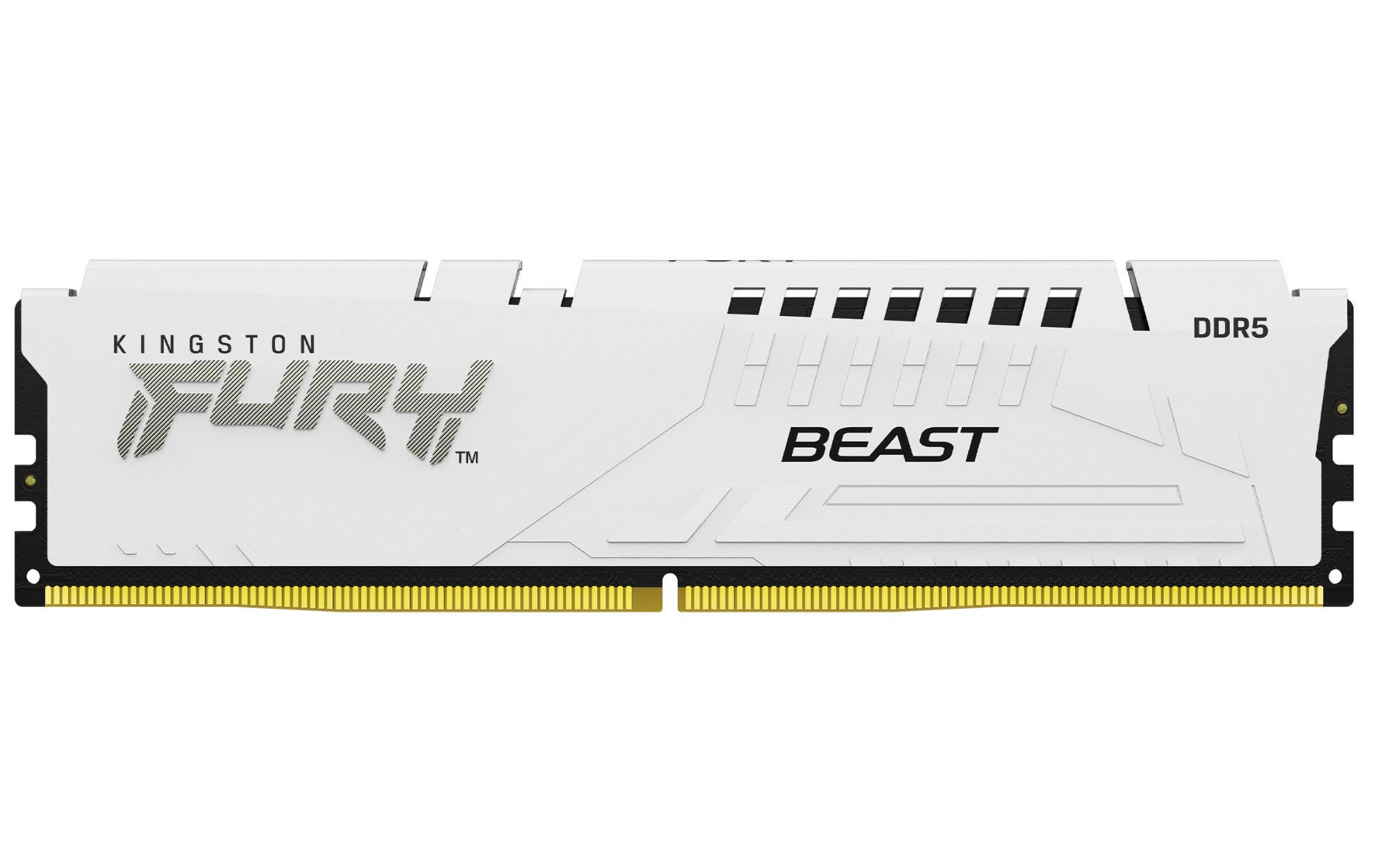 Kingston Fury Beast DDR5- front profile showing the Kingston fury logo, heat sink and connector 