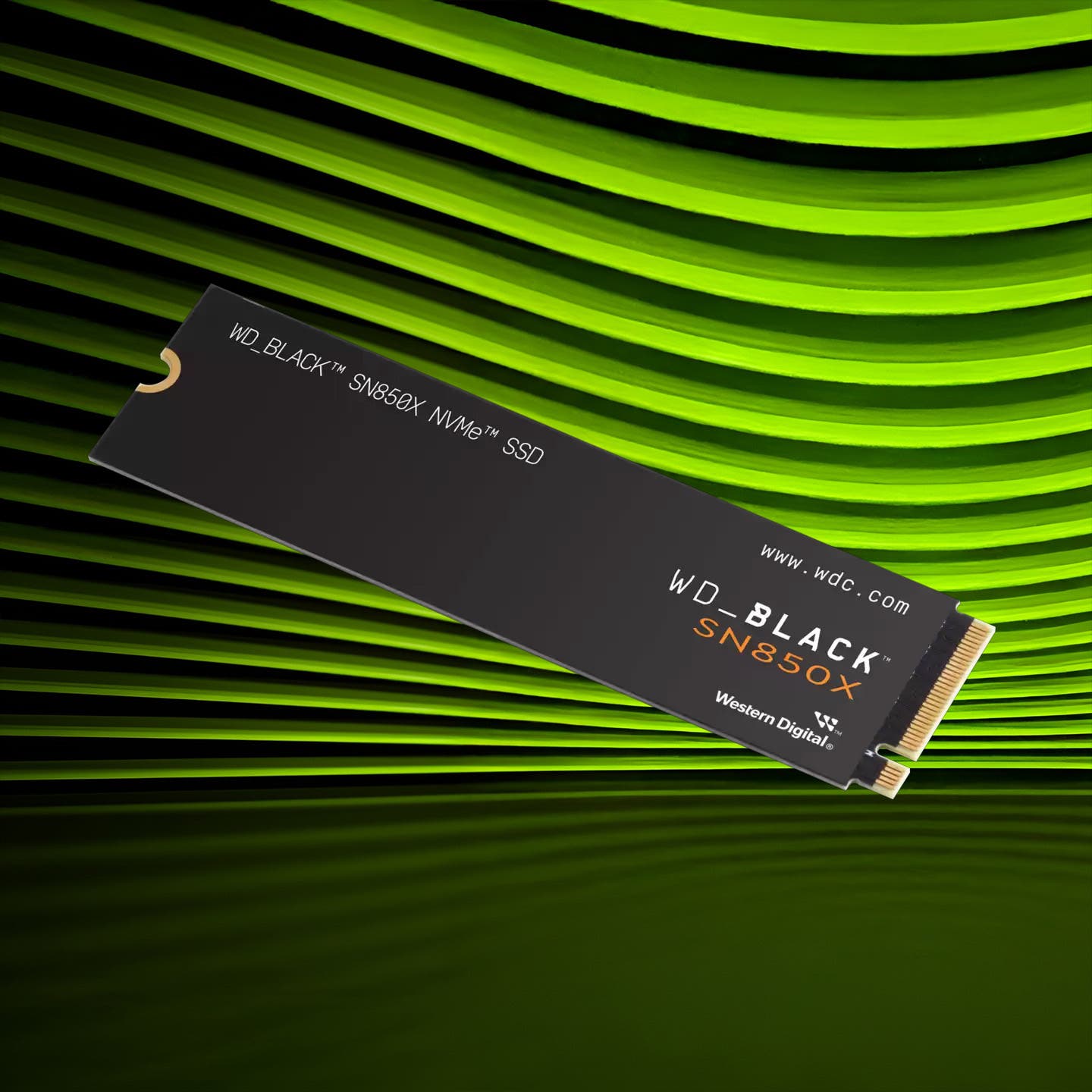 SSDs